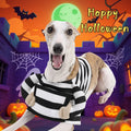 Halloween dog funny costumes, prison-style Halloween dog outfits, daily dog outfits