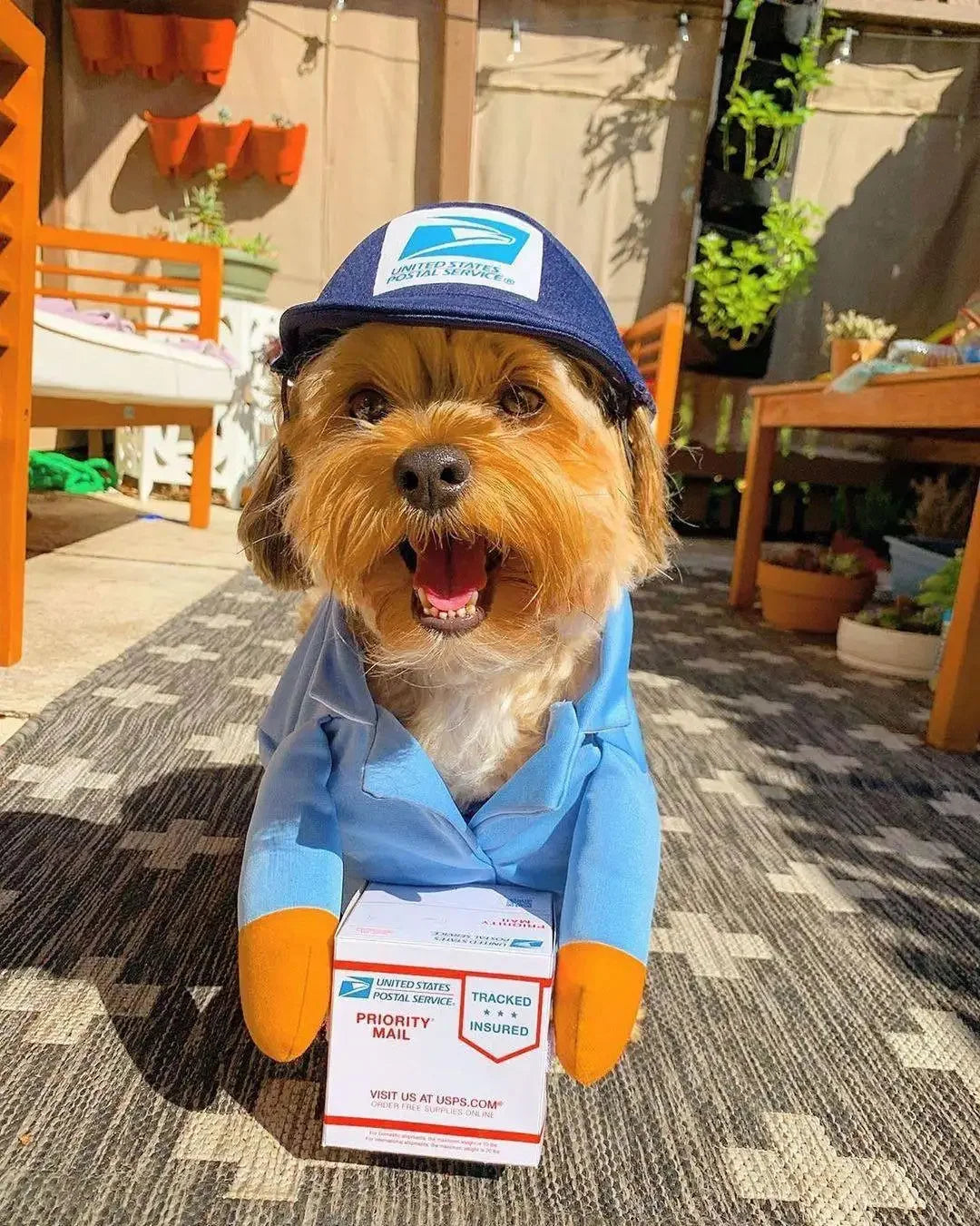 1Pc Funny Dog Cat Cosplay Clothes Role Playing Halloween Decor Clothes Pet Courier Costume Dress Up Standing Outfit Pet Costumes