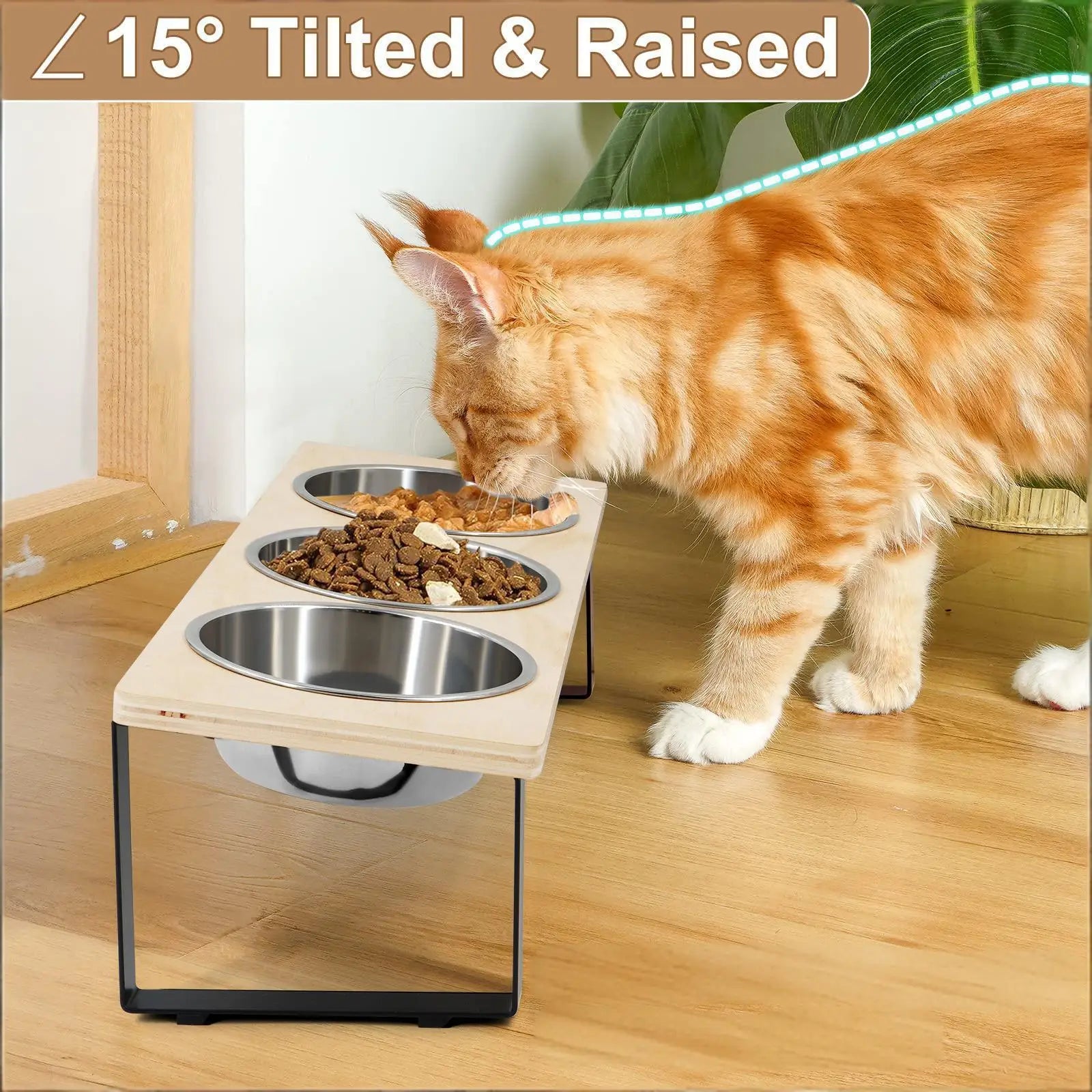 Elevated Cat Bowls Feeder 15° Tilted Raised Feeding & Watering Supplies Pet 3 Stainless Steel Bowls with Stand for Cats Puppies