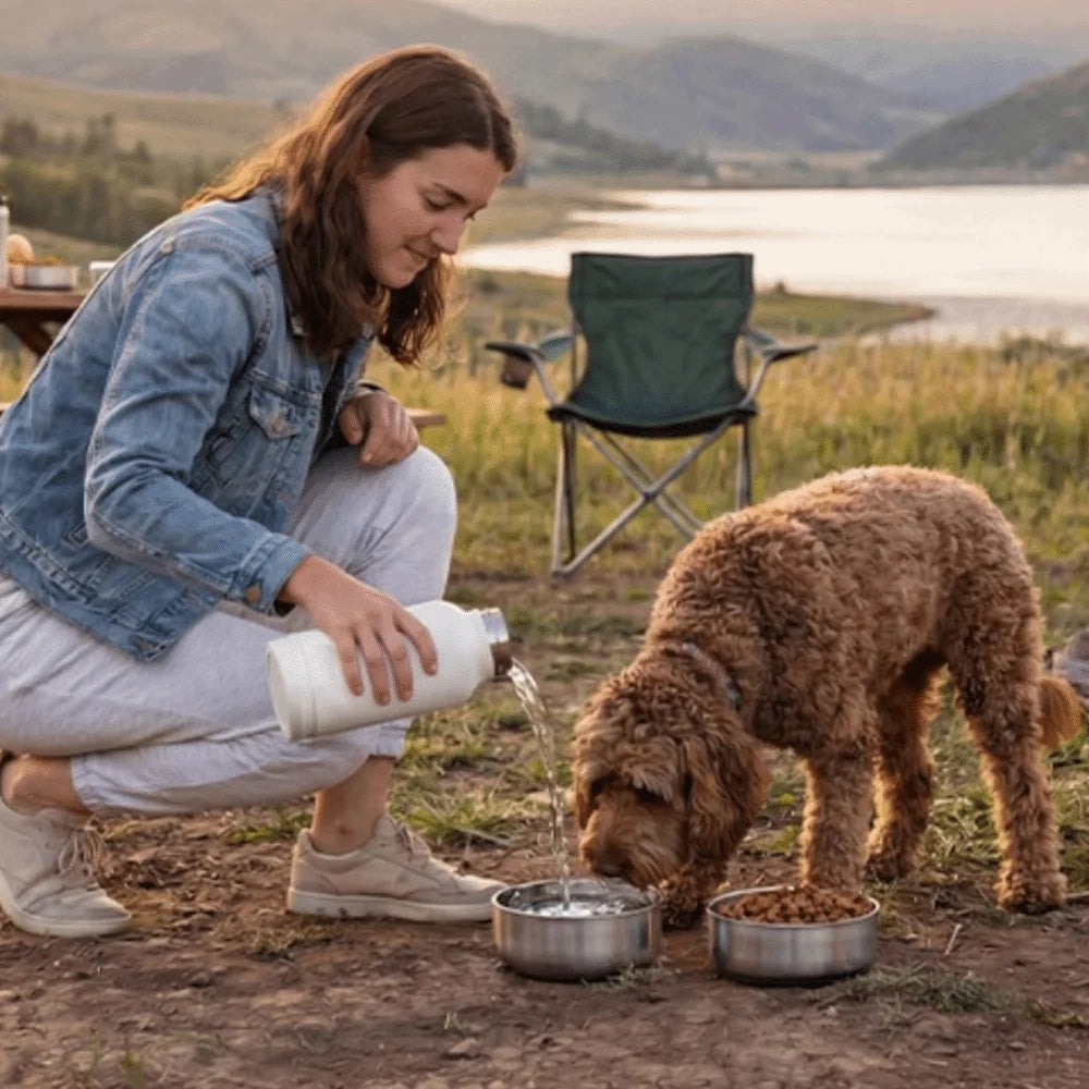 3 in 1 Stainless Steel Pet Water Bottle Multi-layered Detachable Dog Drinking Bottle Leak-proof 32Oz Insulated Water Bottle