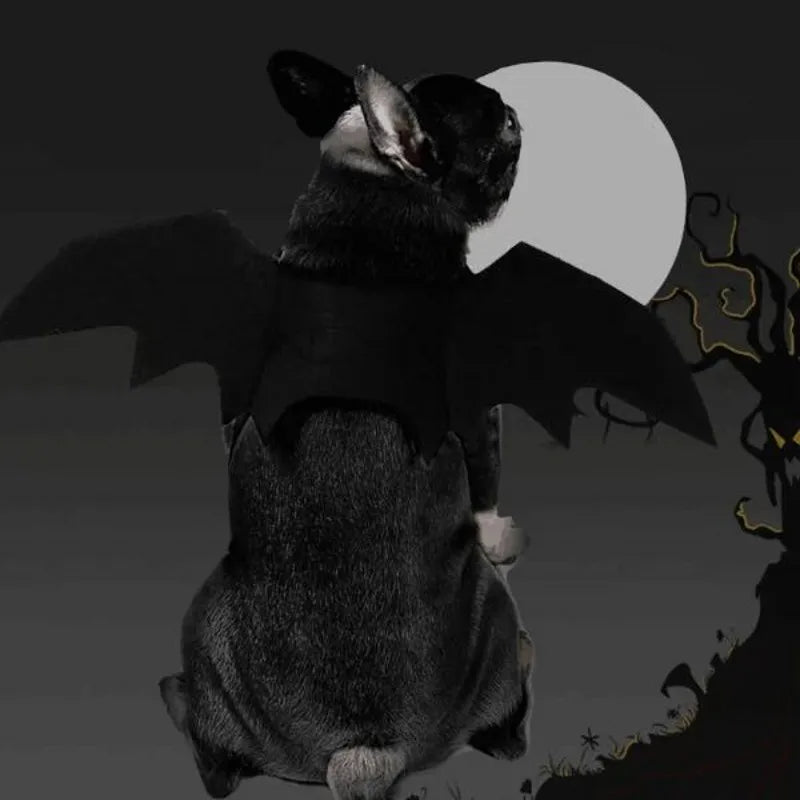 Halloween Bat Costume for Dogs Pet Wings Cat Dress up Accessory Puppy Party Outfit Pet Supplies