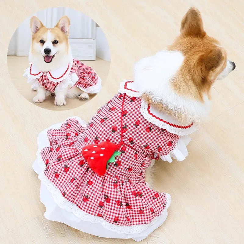 Strawberry Plaid Dog Dress — Cute Summer Outfit for Small Female Dogs & Cats