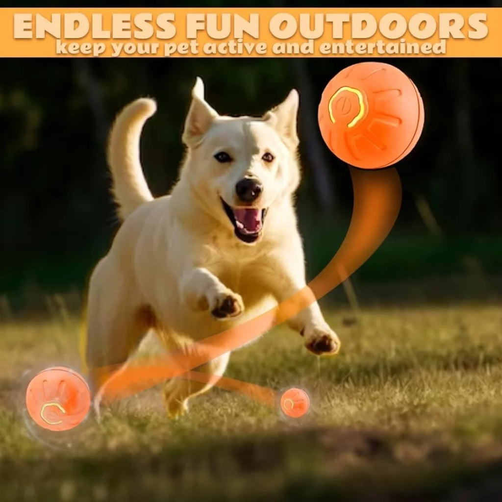 Interactive Electric Bouncing Ball for Dogs & Cats