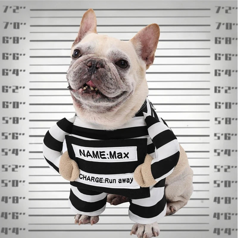 Halloween dog funny costumes, prison-style Halloween dog outfits, daily dog outfits