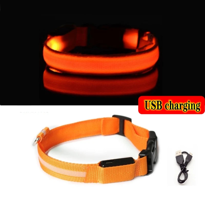 LED Light-Up Dog Collar — USB Rechargeable Anti-Lost Night Safety Collar