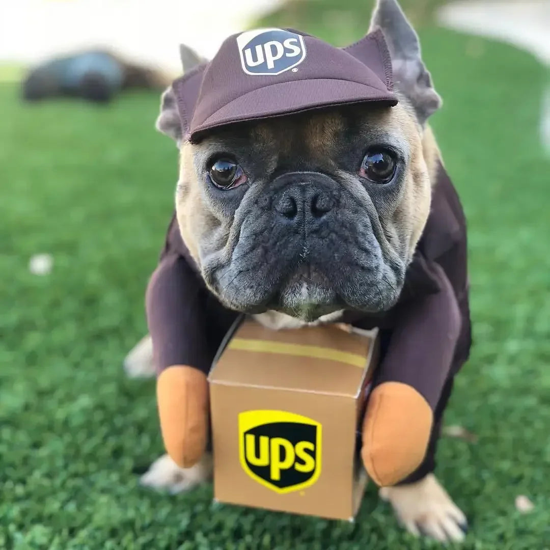 1Pc Funny Dog Cat Cosplay Clothes Role Playing Halloween Decor Clothes Pet Courier Costume Dress Up Standing Outfit Pet Costumes