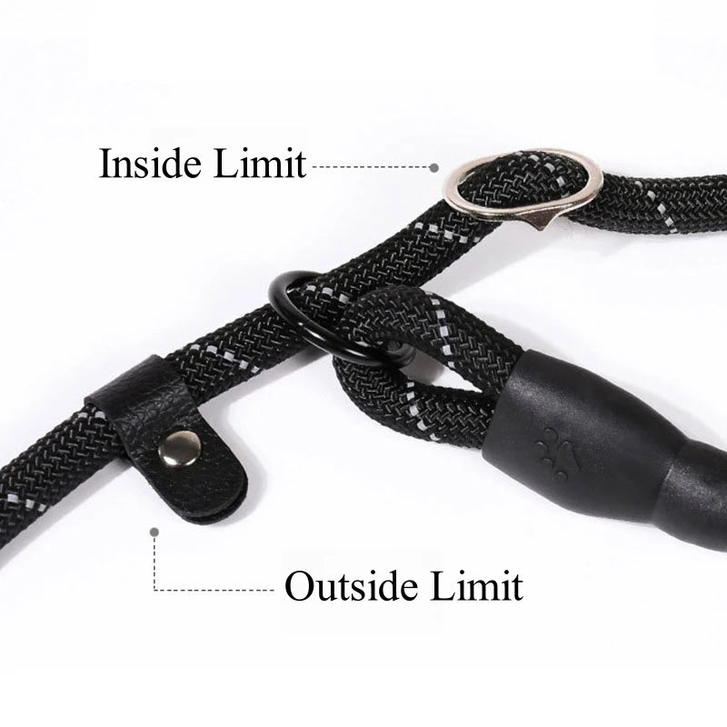 Strong Anti-Pull Dog Leash — 150cm to 300cm Slip Chain Rope for All Dogs