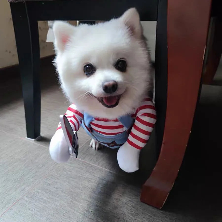 Pet Party Costumes for Halloween Christmas! Cute, Funny & Cozy Dog Cat Outfits for Parties, Photos & Going Out. Shop Collection