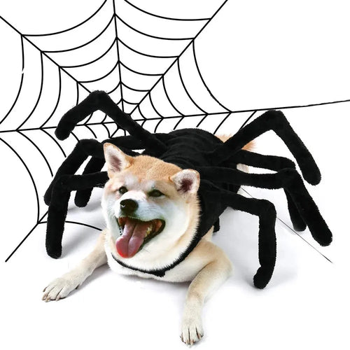 1pcs halloween spider costume funny pet cat dog clothes for small medium-sized dog clothings halloween cosplay pet accessories