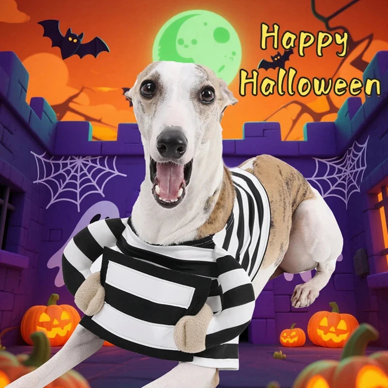 Halloween dog funny costumes, prison-style Halloween dog outfits, daily dog outfits