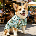 1pc  Spring, Summer, Autumn, and Fall Cat and Dog Hawaiian Baseball Short Sleeve Shirts with Leaf and Animal Print Pet Shirts