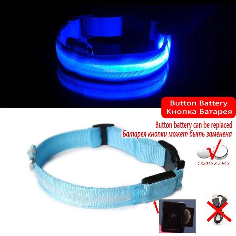 LED Light-Up Dog Collar — USB Rechargeable Anti-Lost Night Safety Collar
