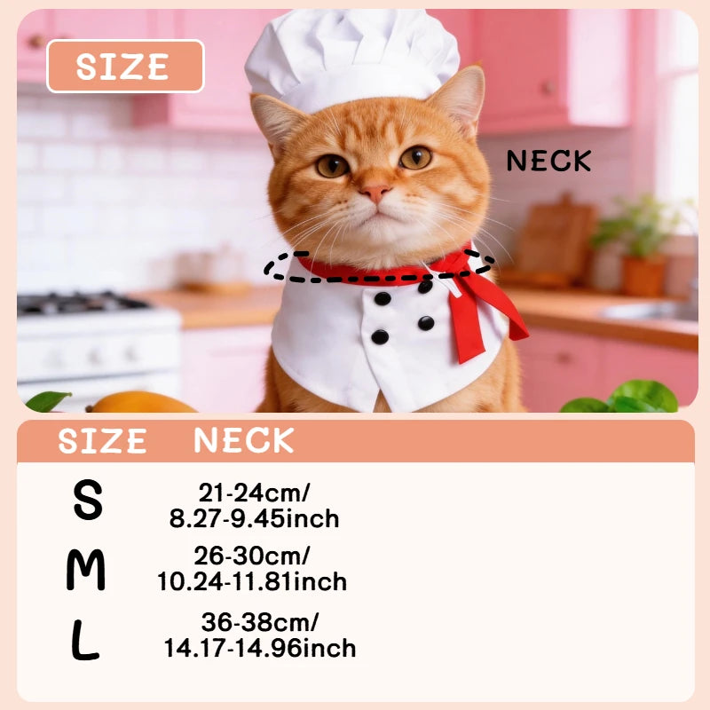 Pet chef transforms into funny cat and dog costumes, pet quirky Halloween outfits