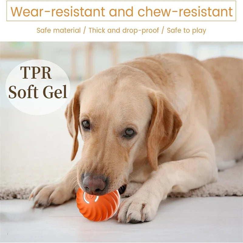 Smart Electronic Moving Ball Toy for Dogs & Cats — USB Rechargeable