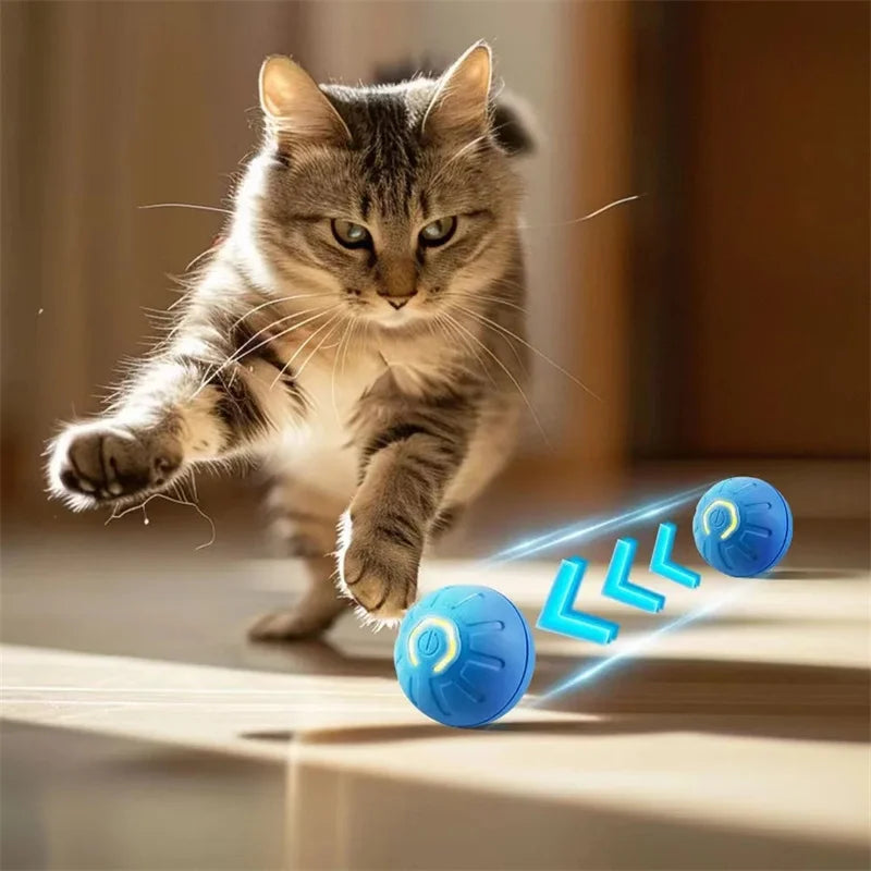 Smart Electronic Moving Ball Toy for Dogs & Cats — USB Rechargeable