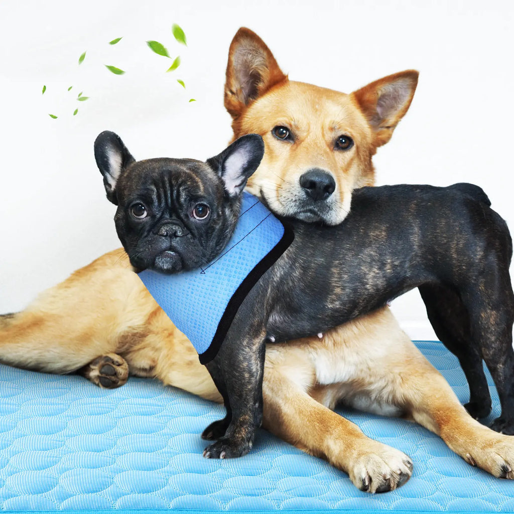 Pet Dog Cooling Bandana Neck Wrap Cooler Ice Silk Mat Blanket Soft Breathable Small Medium Dogs Summer Outdoor Travel