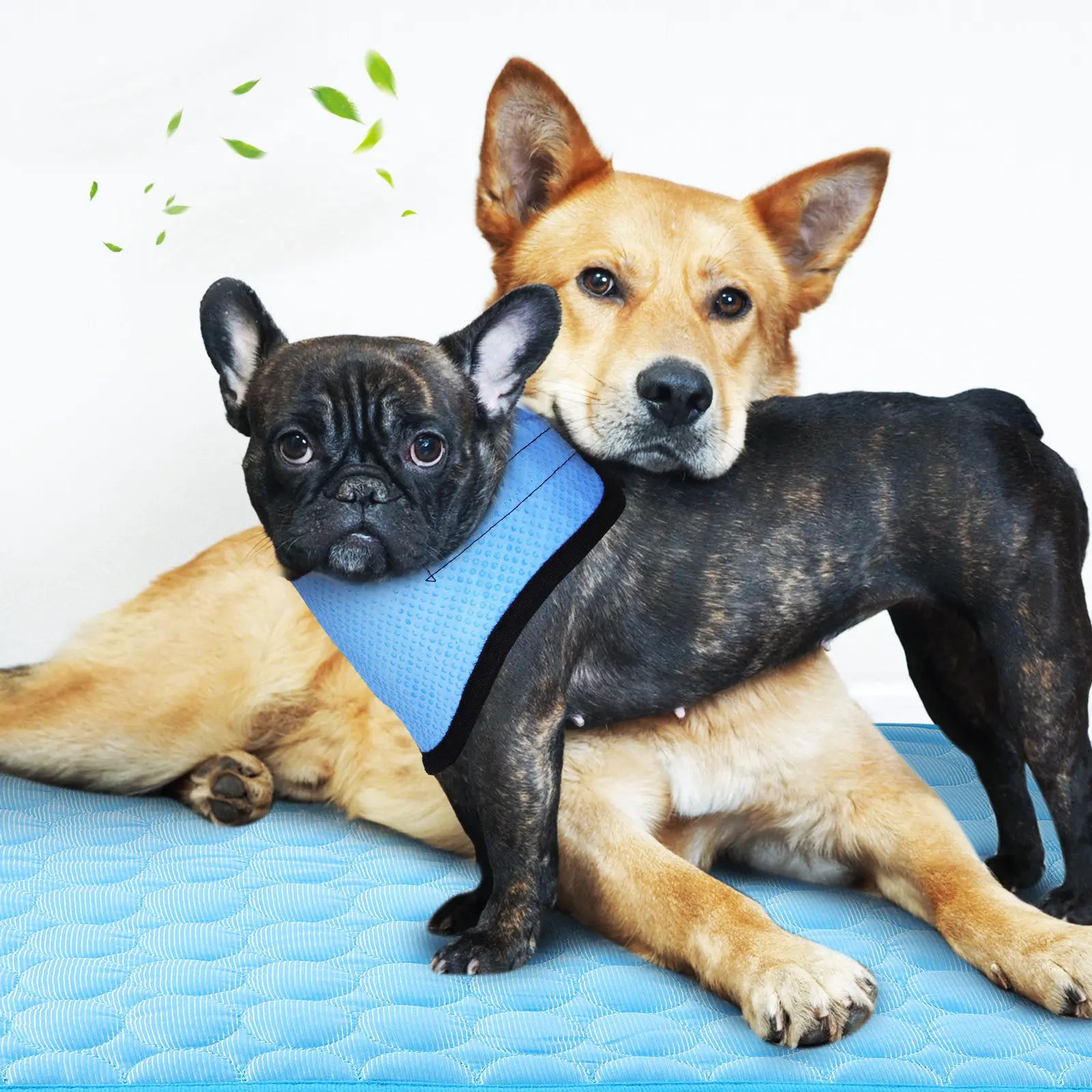Pet Dog Cooling Bandana Neck Wrap Cooler Ice Silk Mat Blanket Soft Breathable Small Medium Dogs Summer Outdoor Travel