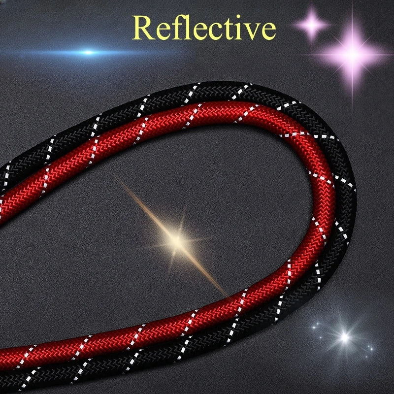 Strong Anti-Pull Dog Leash — 150cm to 300cm Slip Chain Rope for All Dogs