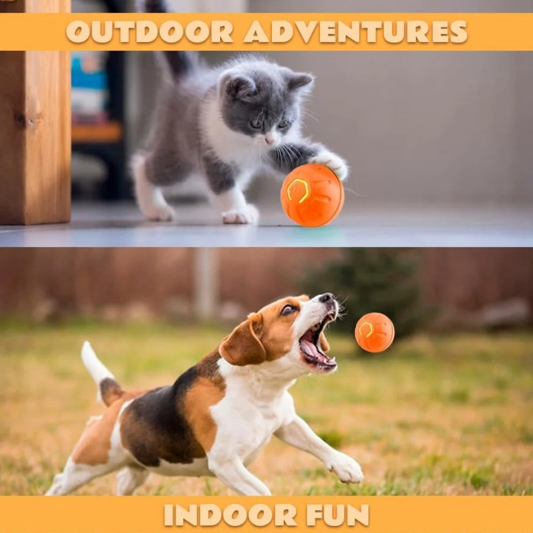 Interactive Electric Bouncing Ball for Dogs & Cats