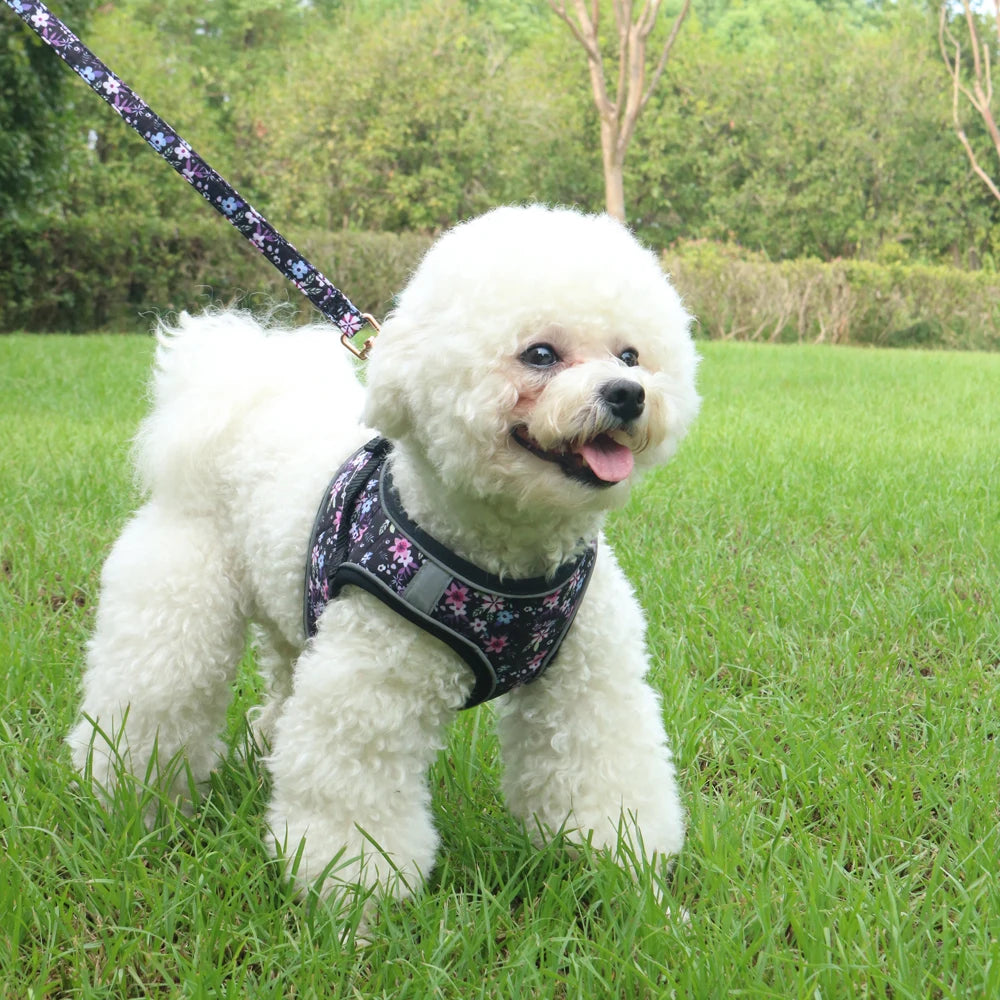 Cute Soft Vest Harness & Leash Set for Small Dogs & Cats