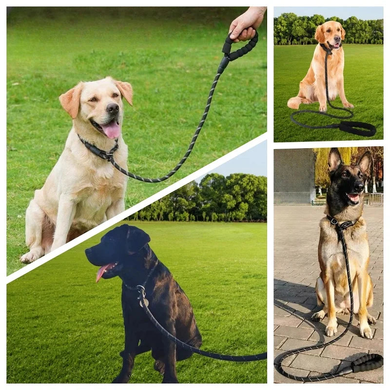 Strong Anti-Pull Dog Leash — 150cm to 300cm Slip Chain Rope for All Dogs