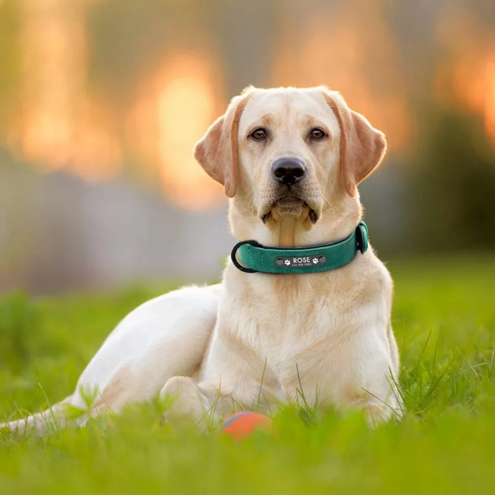 Personalized Leather Dog Collar with Custom Name ID Tag