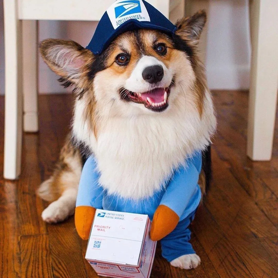 1Pc Funny Dog Cat Cosplay Clothes Role Playing Halloween Decor Clothes Pet Courier Costume Dress Up Standing Outfit Pet Costumes