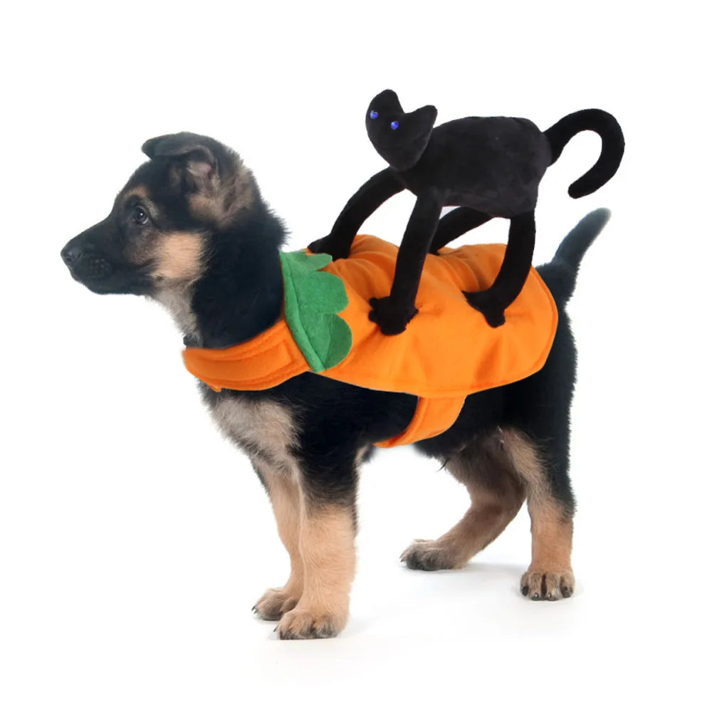 Pet Transformation Costumes, Funny Christmas Outfits for Cats, Dog Clothes, Novelty Halloween Costumes for Pets