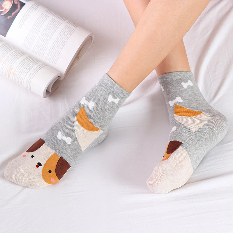 5 Pairs New Cartoon Socks Kawaii Women Cute Animal Patterned Fox Dogs Bear Cat Cotton Socks Student Printed Casual Socks Female