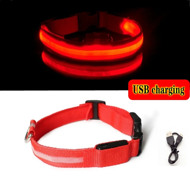 LED Light-Up Dog Collar — USB Rechargeable Anti-Lost Night Safety Collar