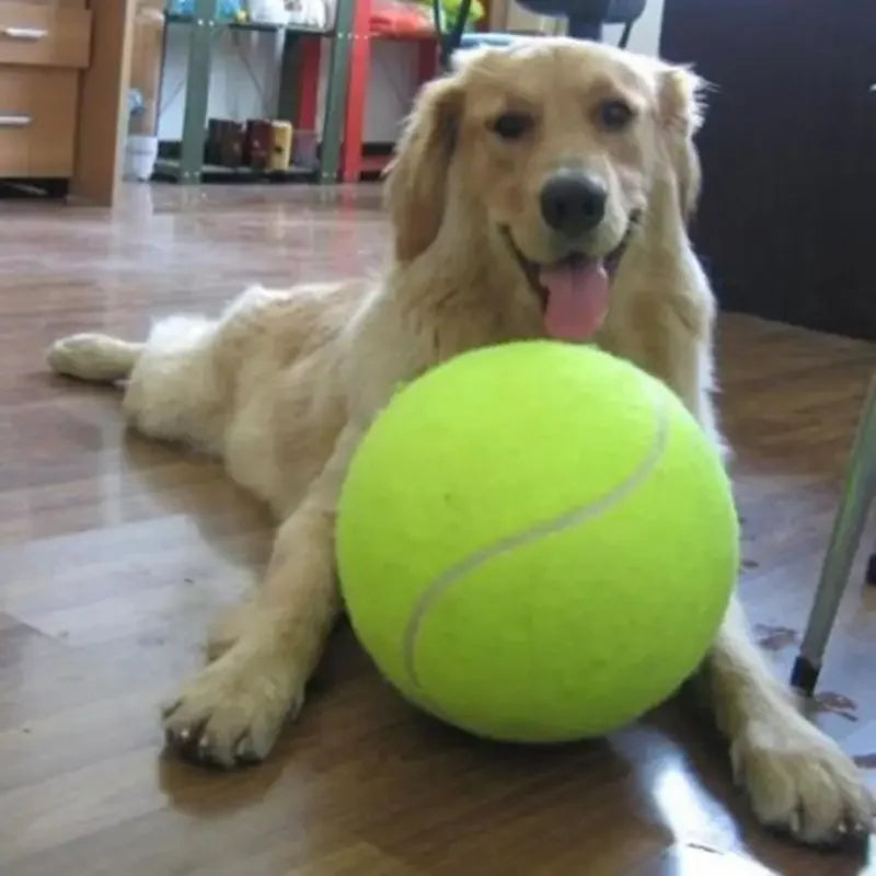 22CM Giant Tennis Ball For Dog Chew Toy Pet Dog Interactive Toys Big Inflatable Tennis Ball Pet Supplies Outdoor Cricket Dog Toy