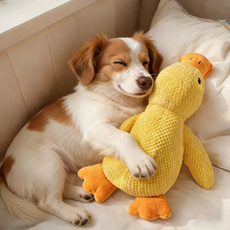 Dog sleeping with a dog hug duck toys to relieve boredom of little yellow duck pet interactive plush doll pet supplies ﻿