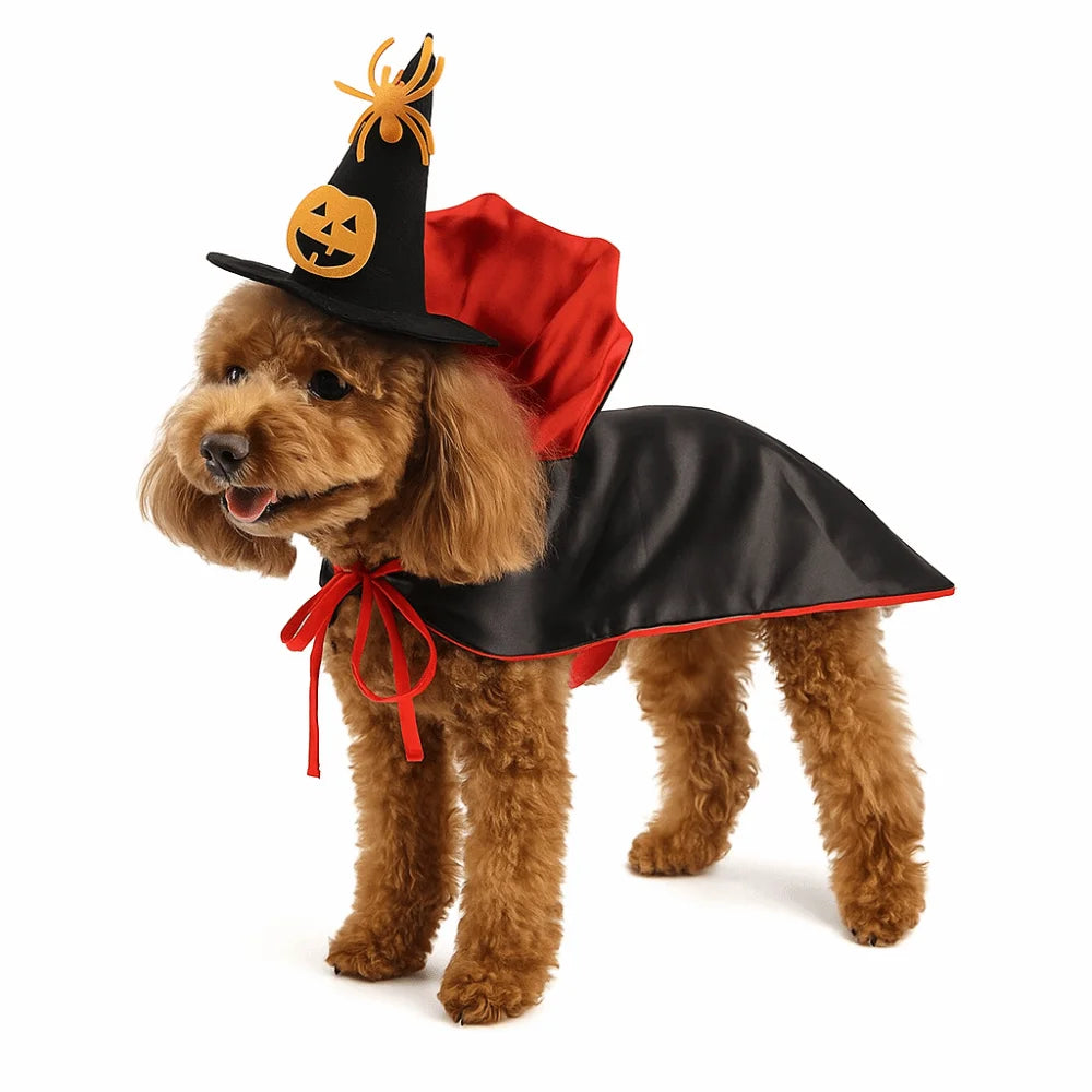 Stand-collar Halloween Pet Costume Comfortable Adjustable Dogs Knight Cape Pet Supplies Soft Fabric Kitten Puppy Dress Party