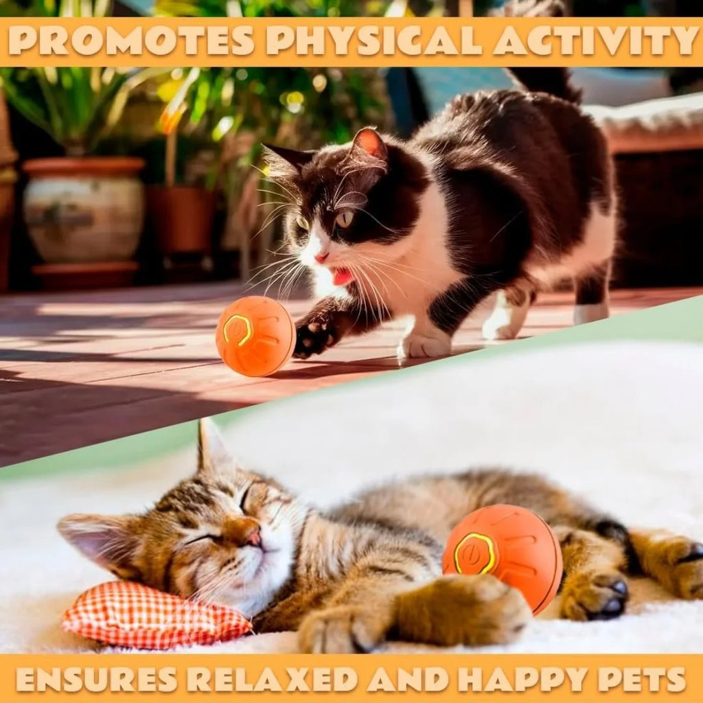 Interactive Electric Bouncing Ball for Dogs & Cats