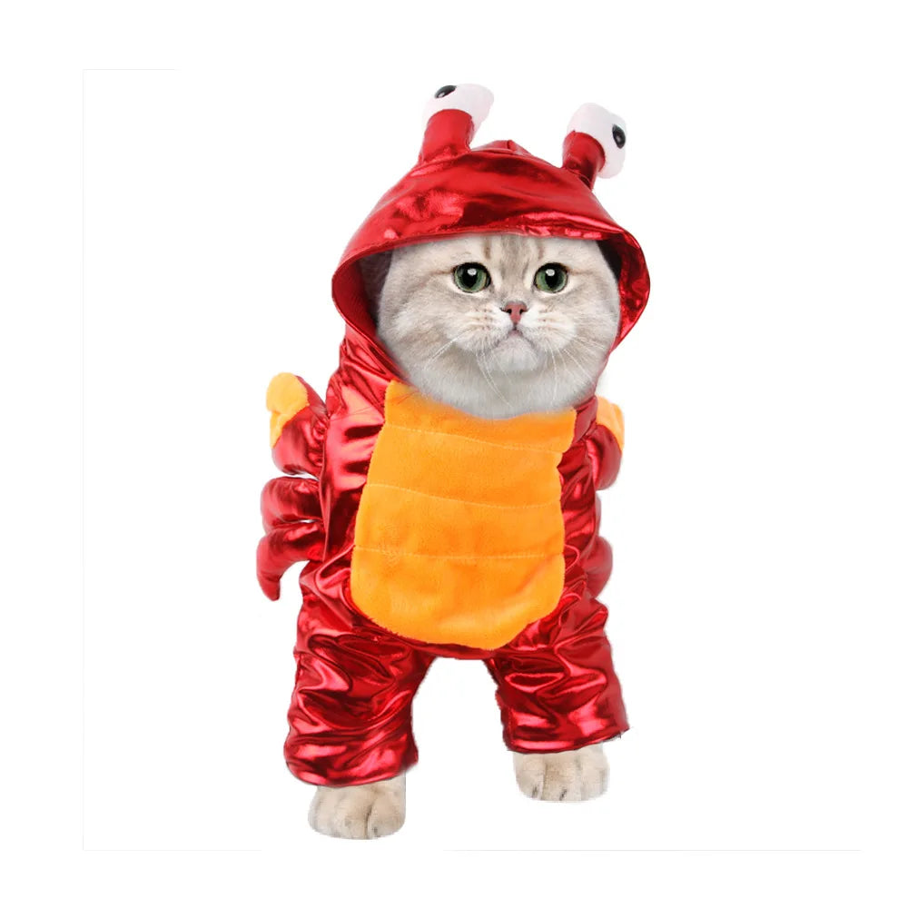 Pet Transformation Costumes, Funny Christmas Outfits for Cats, Dog Clothes, Novelty Halloween Costumes for Pets