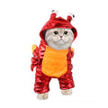Pet Transformation Costumes, Funny Christmas Outfits for Cats, Dog Clothes, Novelty Halloween Costumes for Pets