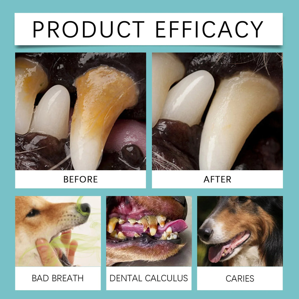 Yegbong Pet Teeth Finger Wipes Tartar Removal Oral Stain Cleaning Tooth Whitening Bad Breath Freshing Dog Toothbrushing Wipes