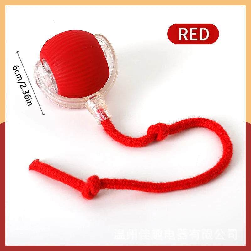 Smart Electronic Moving Ball Toy for Dogs & Cats — USB Rechargeable