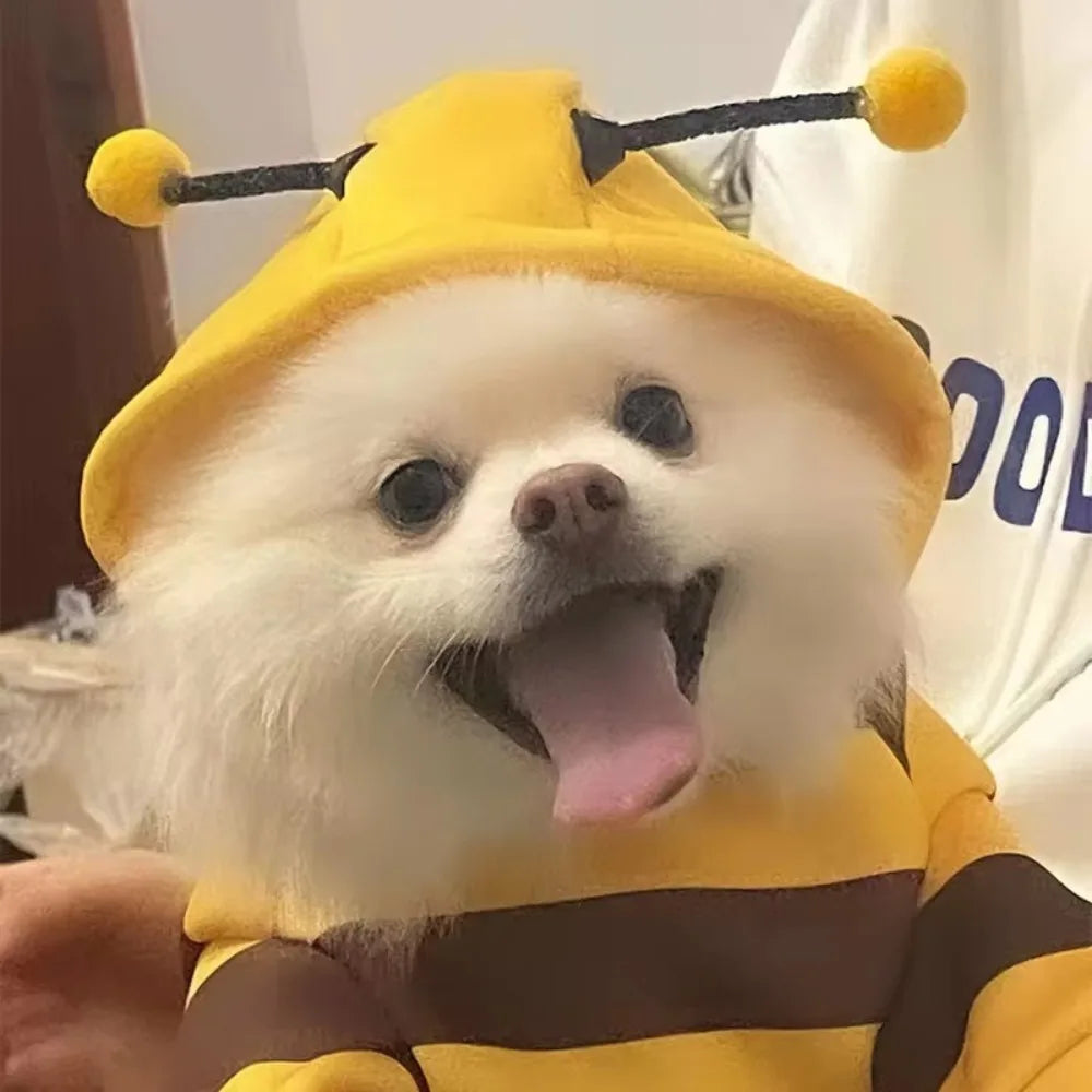 New Outfit Puppy Apparel Polyester Cartoon Dog Cat Hoodie Pet Products Halloween Cosplay Costumes