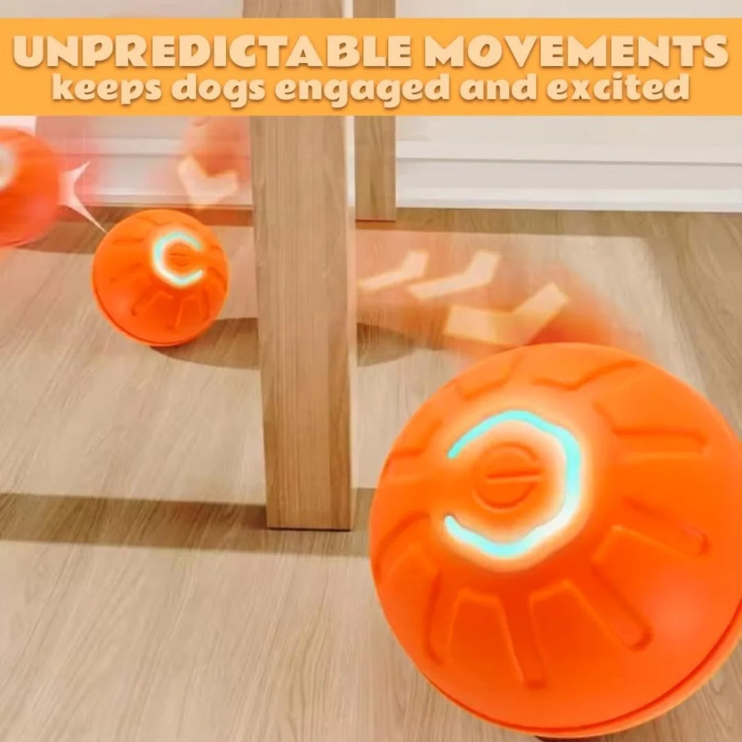 Interactive Electric Bouncing Ball for Dogs & Cats