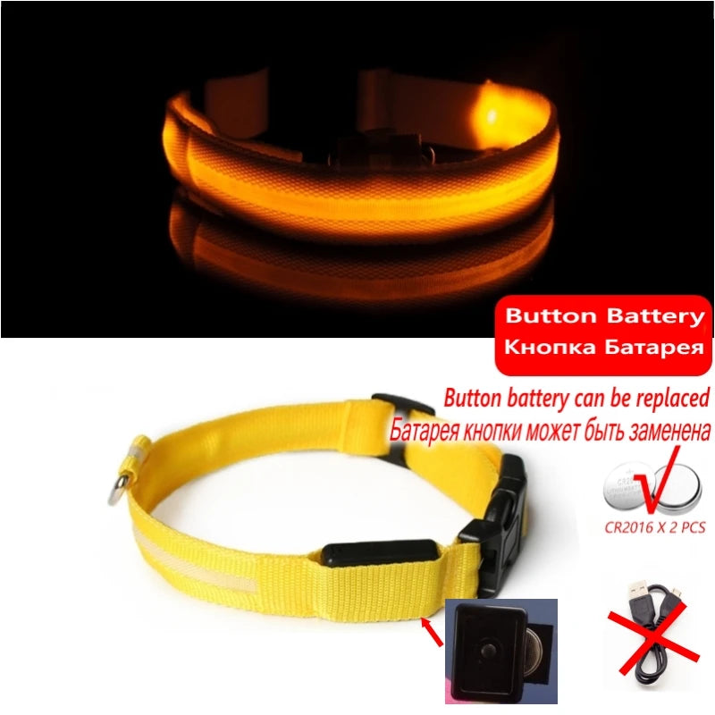 LED Light-Up Dog Collar — USB Rechargeable Anti-Lost Night Safety Collar