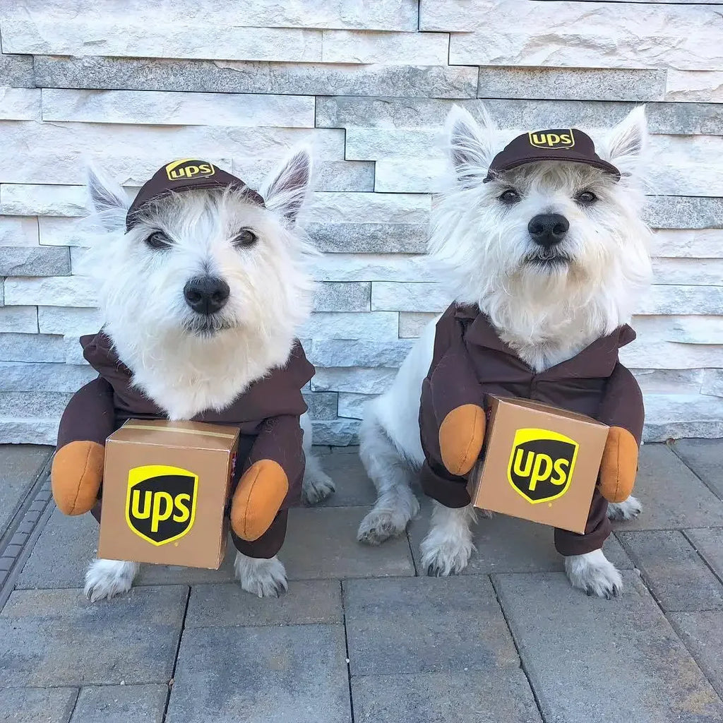 1Pc Funny Dog Cat Cosplay Clothes Role Playing Halloween Decor Clothes Pet Courier Costume Dress Up Standing Outfit Pet Costumes