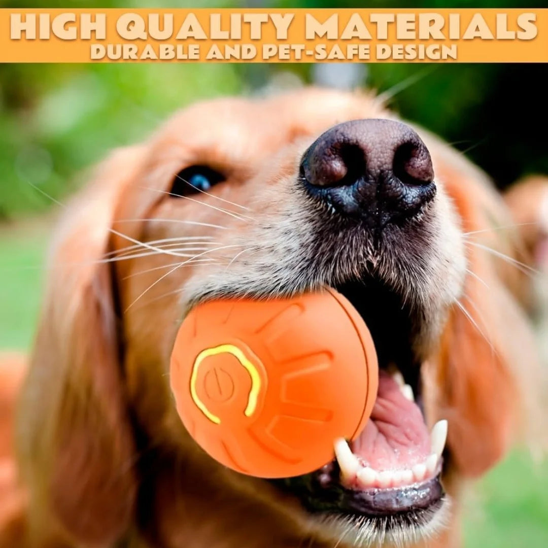Interactive Electric Bouncing Ball for Dogs & Cats