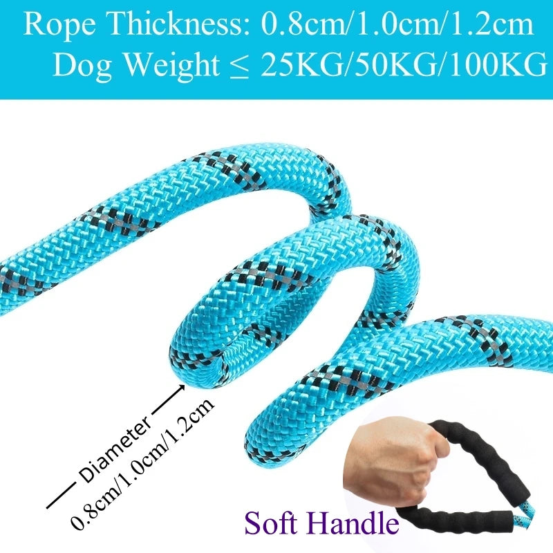 Strong Anti-Pull Dog Leash — 150cm to 300cm Slip Chain Rope for All Dogs