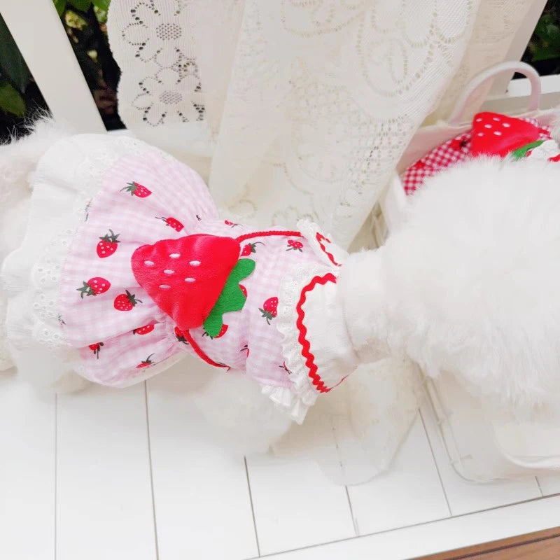 Strawberry Plaid Dog Dress — Cute Summer Outfit for Small Female Dogs & Cats