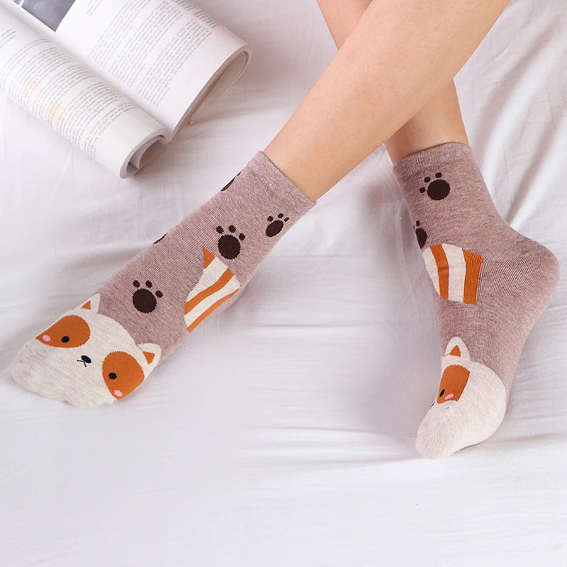 5 Pairs New Cartoon Socks Kawaii Women Cute Animal Patterned Fox Dogs Bear Cat Cotton Socks Student Printed Casual Socks Female