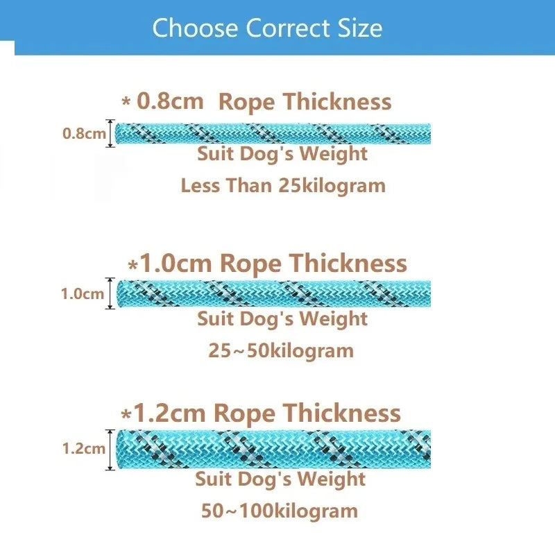 Strong Anti-Pull Dog Leash — 150cm to 300cm Slip Chain Rope for All Dogs